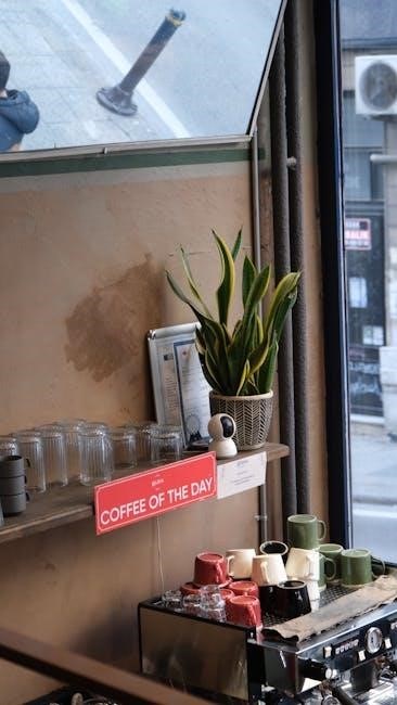 sofia hutt street menu pdf