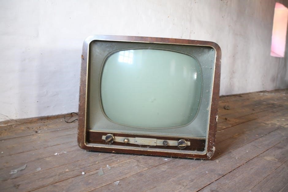 tv guide brandon fl