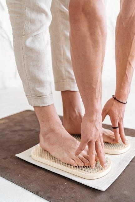 miko foot massager manual